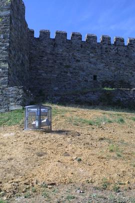 Processo de Licenciamento - Arquivo de Imóvel DRP-12168