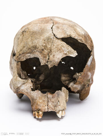 Open original Objeto digital