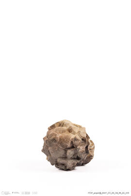 Fragmento alcachofra