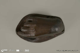 Mão do Abade de Baçal