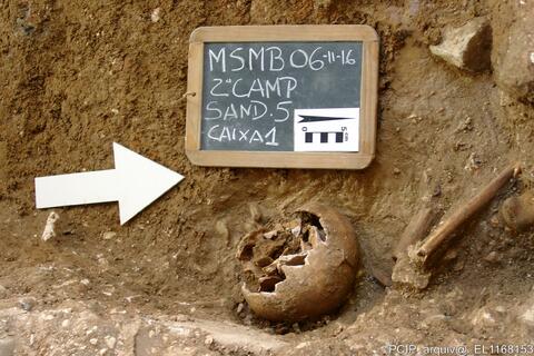 Open original Objeto digital