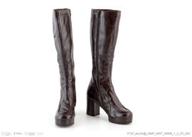 Botas (par)/Feminino