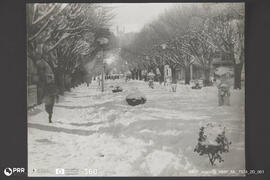 Av. Visconde Guedes Teixeira, Lamego