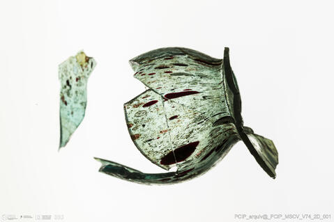 Open original Objeto digital