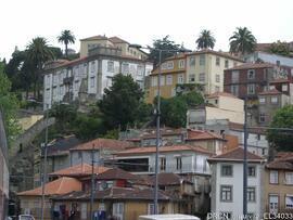Fotografia 025