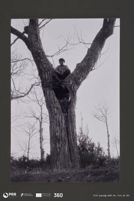 Crianças posando num tronco de árvore