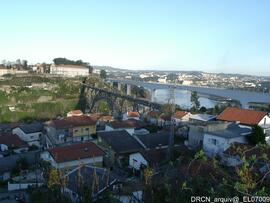 Fotografia 028