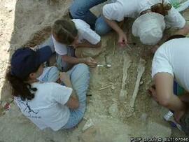 Sondagens  arqueológicas