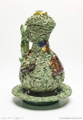 Jarro musgado Lagarto