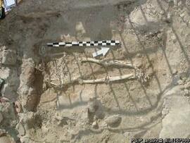 Sondagens  arqueológicas