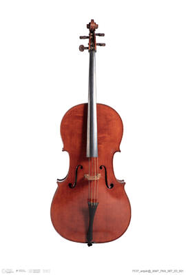 Violoncelo