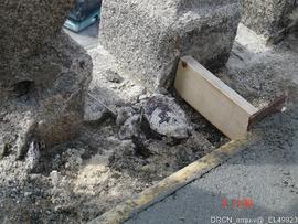 Acompanhamento da Intervenção de Obras - Fotografia 020
