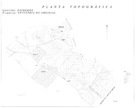 Planta [s.d.]