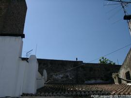 Fotografia 005