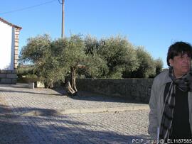 Fotografia interior, exterior e areas envolventes