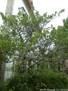 Fotografia do exterior do imovel