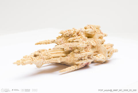 Open original Objeto digital