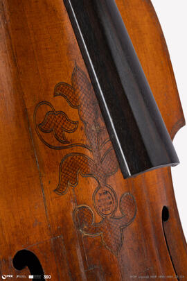 Viola da Gamba Baixo