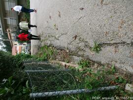 Fotografia 016