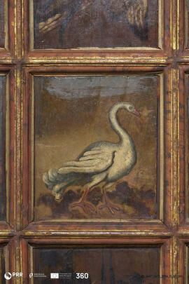 Natureza Morta com Frutos