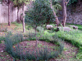 Jardim