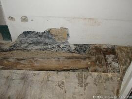 Fotografia 020