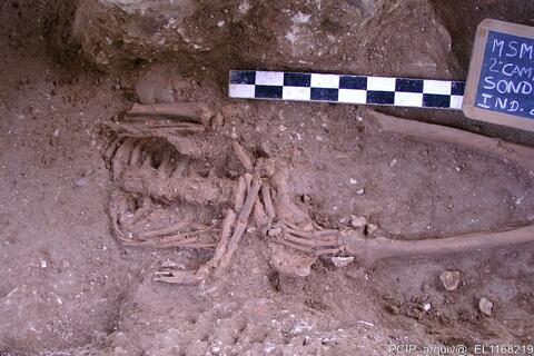 Open original Digital object