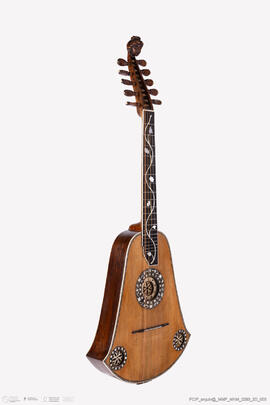 Cítara Campaniforme