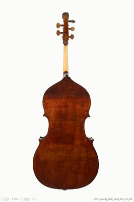 Violone
