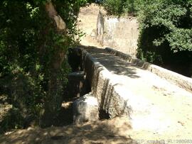 Fotografia 003