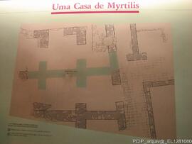 Fotografia 009