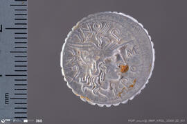 Denarius