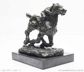 Cavalo em Corrida