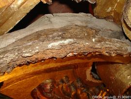 Fotografia 011