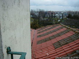 Fotografia 003