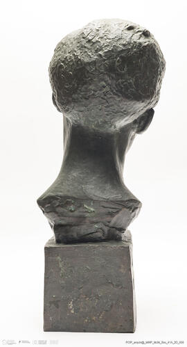 Cabeça de Negra