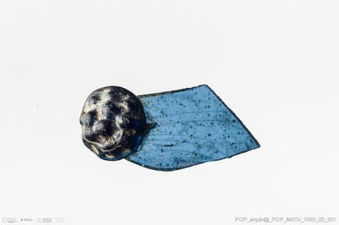 Open original Objeto digital