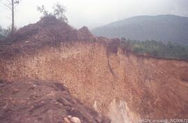 Destruição do Castro
