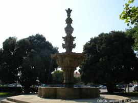 Fotografia 003