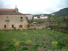 Ala nascente – Fotografia 015