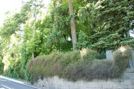 Fotografia exterior e area envolvente