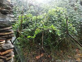 Fotografia do local e imediacoes