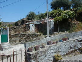Fotografia 014