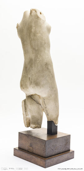 Torso de Mulher