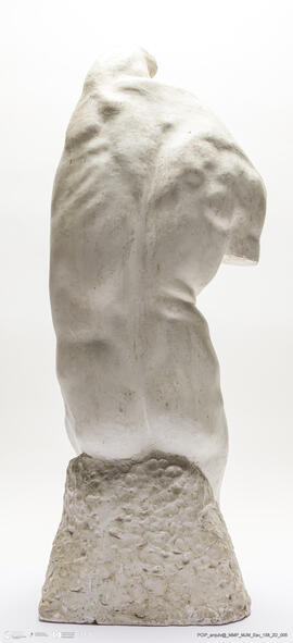 Torso Masculino