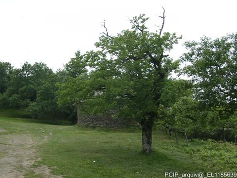 Open original Objeto digital