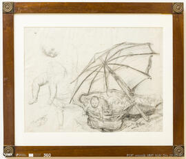 Como eles se criam – estudo