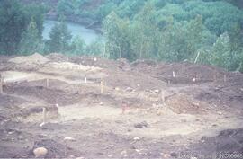 Destruição do Castro