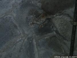 Acompanhamento da Intervenção de Obras - Fotografia 019