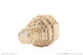 Fragmento base coluna